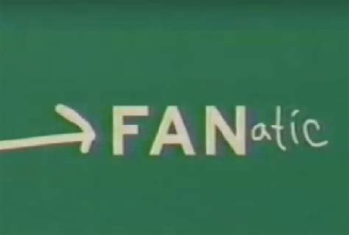 11 Best 'FANatic' Moments That Prove This Show Was An Underrated MTV Gemstone