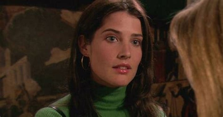 11 Reasons 'How I Met Your Mother's Robin Scherbatsky Was A Legendary Life Coach