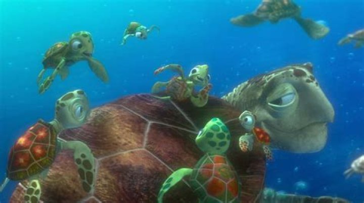 11 Things You Never Noticed In ‘Finding Nemo’