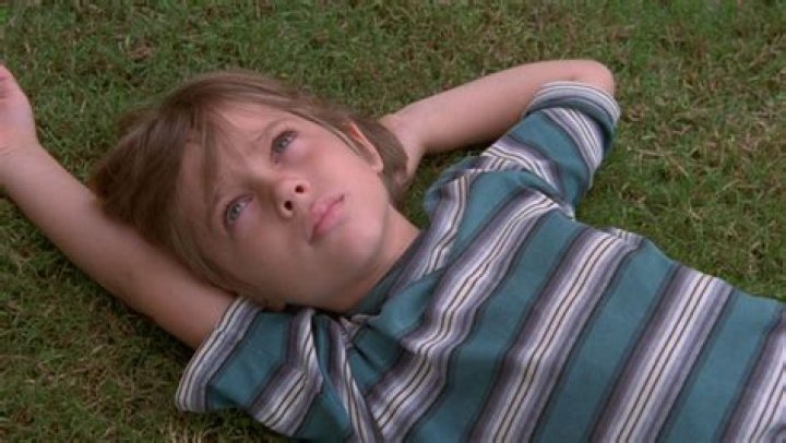 12 Movies Like Marley And Me You Must See
