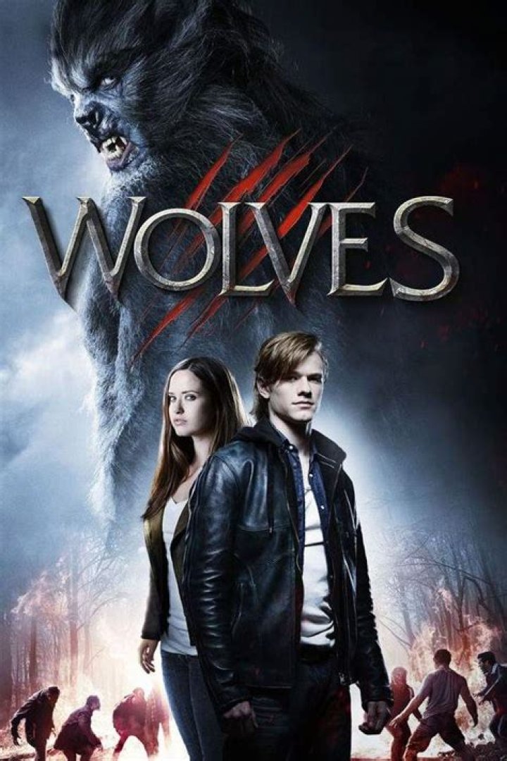 12 Movies Like Wild You Must See