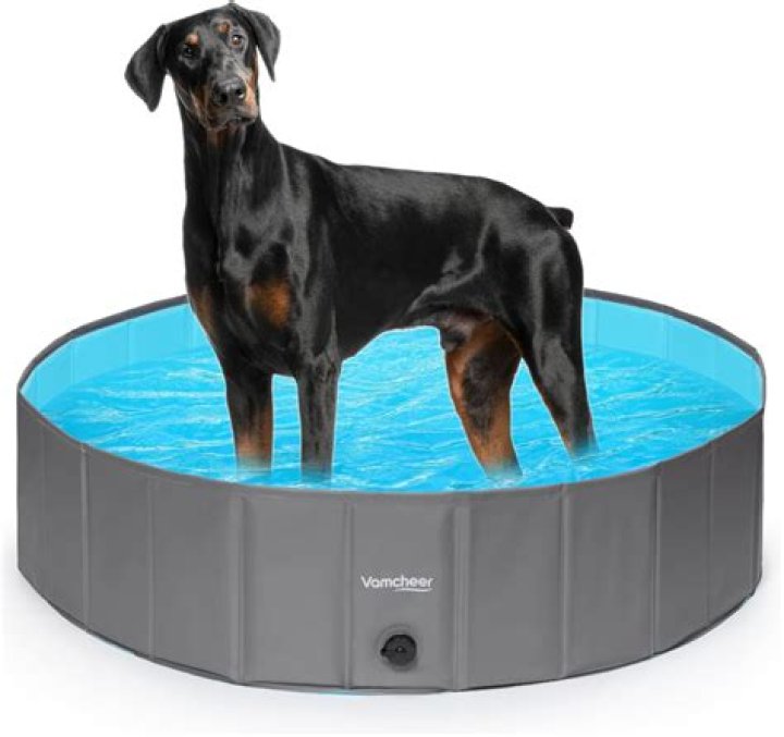 13 best dog paddling pools UK 2023, including hard plastic and puncture-proof dog pools