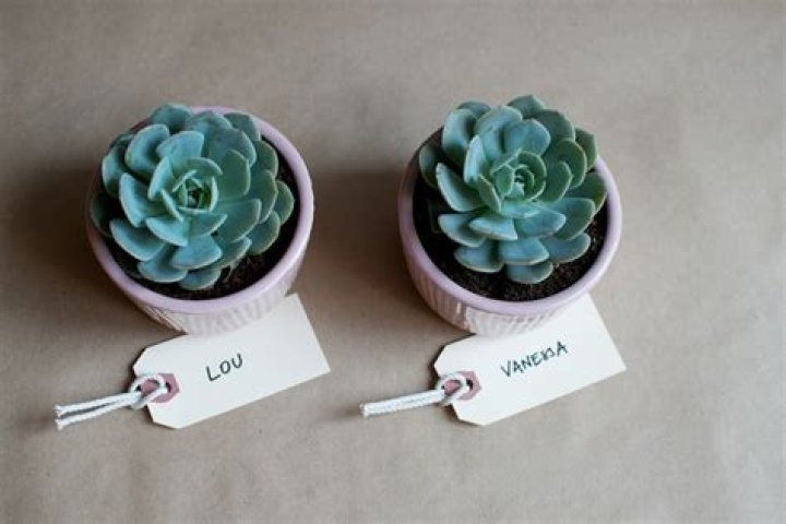 14 Literary Wedding Favors To Give Away On Your Big Day