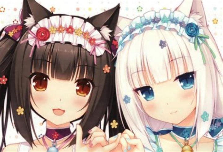 40 Best Anime Cat Girls That Are Too Cute To Know