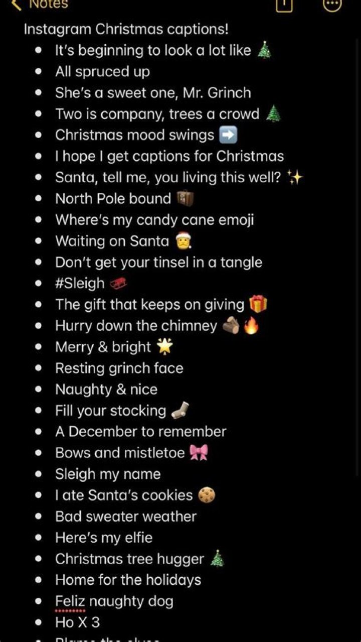 41 Funny Christmas Instagram Caption Ideas To Celebrate The Holidays With