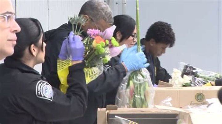 460 million flowers are in the air for Valentine’s Day, but not without a Miami layover