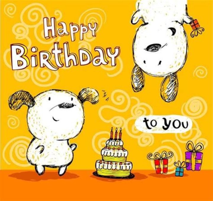 68 Funny Birthday Wishes for All Occasions