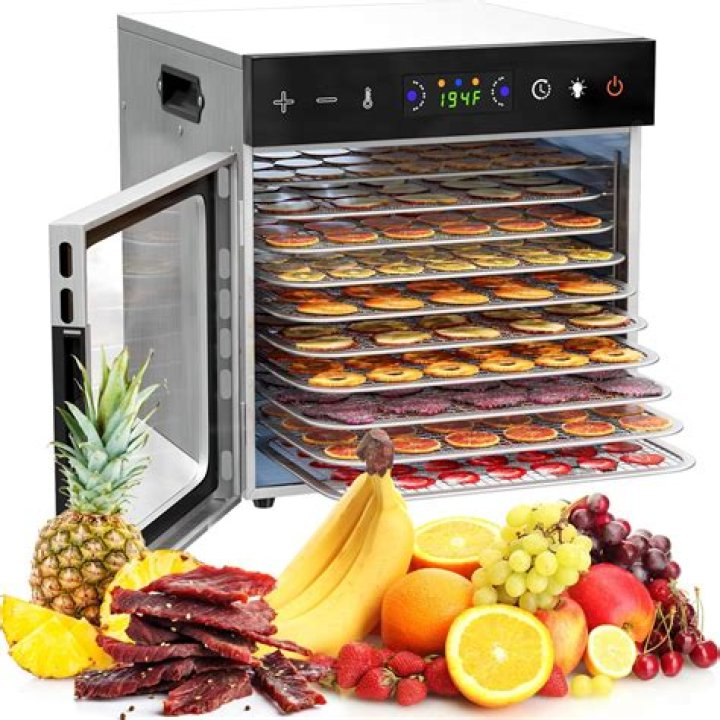 8 Best Food Dehydrators for Jerky And Season’s Snacks