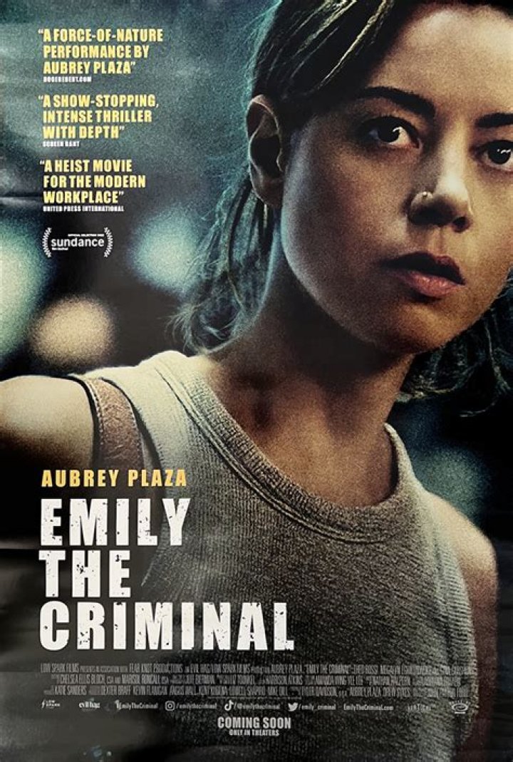 8 Movies Like Emily the Criminal You Must See