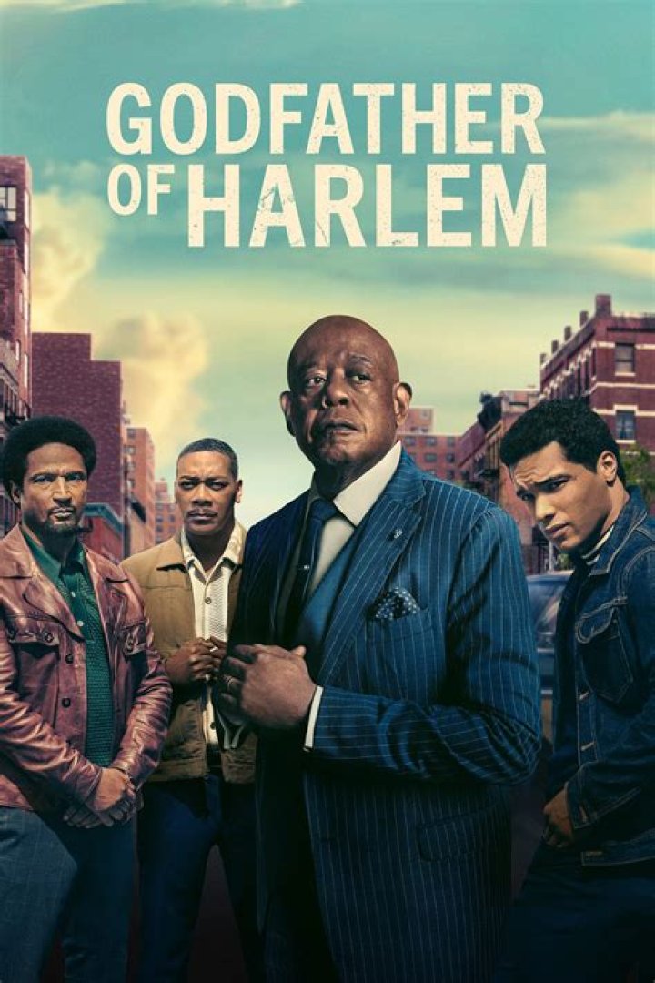 8 Shows Like Godfather of Harlem You Must See