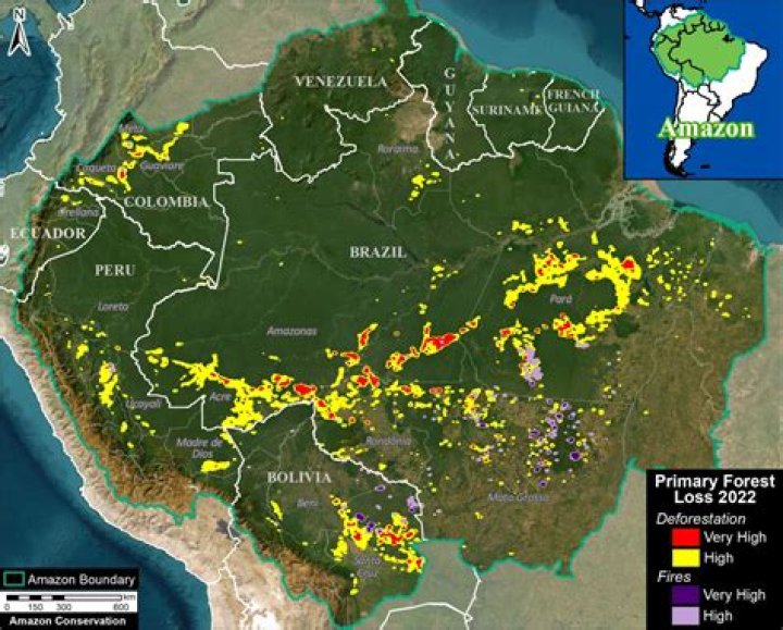 A Brazilian state in the Amazon has been hit with more than 2,000 fires in February