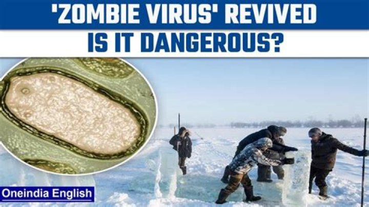 A Cure for the Zombie Apocalypse Virus?
