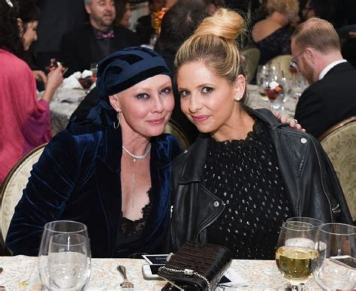Actor Shannen Doherty Reveals Cancer Has Spread to Her Brain