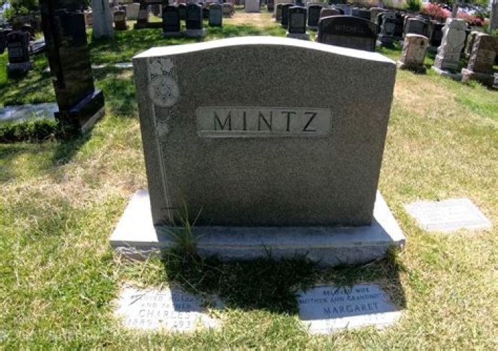 
Alan J. Mintz
Net Worth
