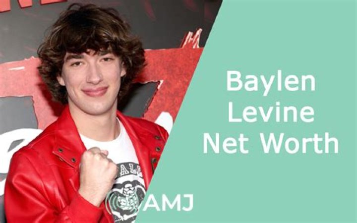 
Alan Levine
Net Worth
