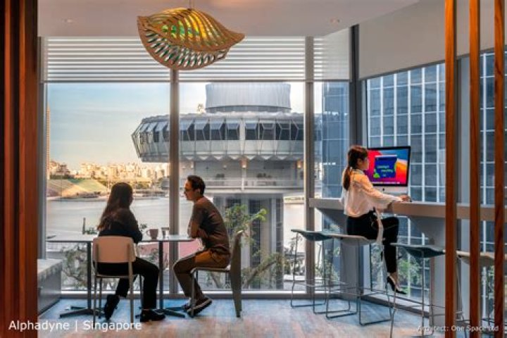 
ALPhadyne Asset Management Pte. Ltd. (Singapore)
