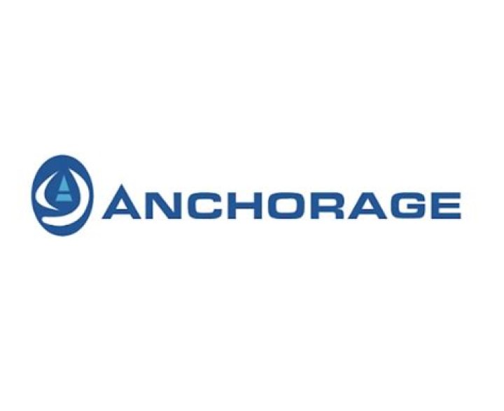 
Anchorage Capital L.L.C 13F annual report
