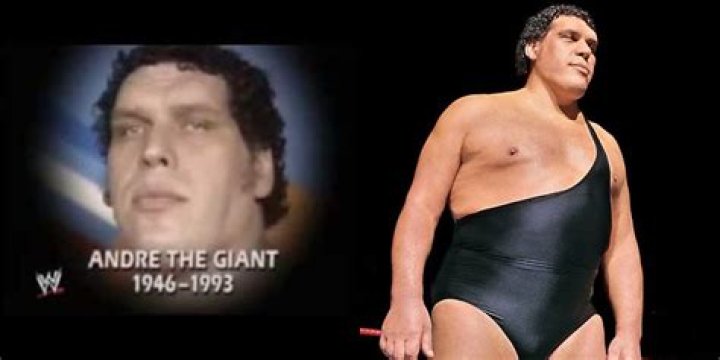 Andre The Giant: The Life And Legacy Of A Wrestling Icon