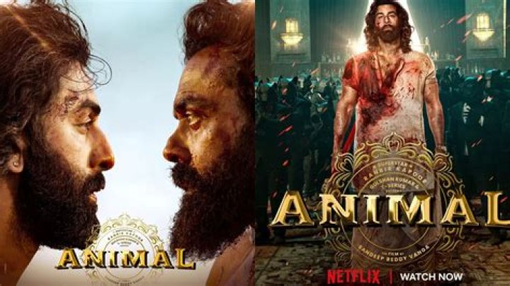 Animal Cast Fees: Is THIS how much Ranbir Kapoor, Bobby Deol, Rashmika Mandanna and Anil Kapoor were paid?