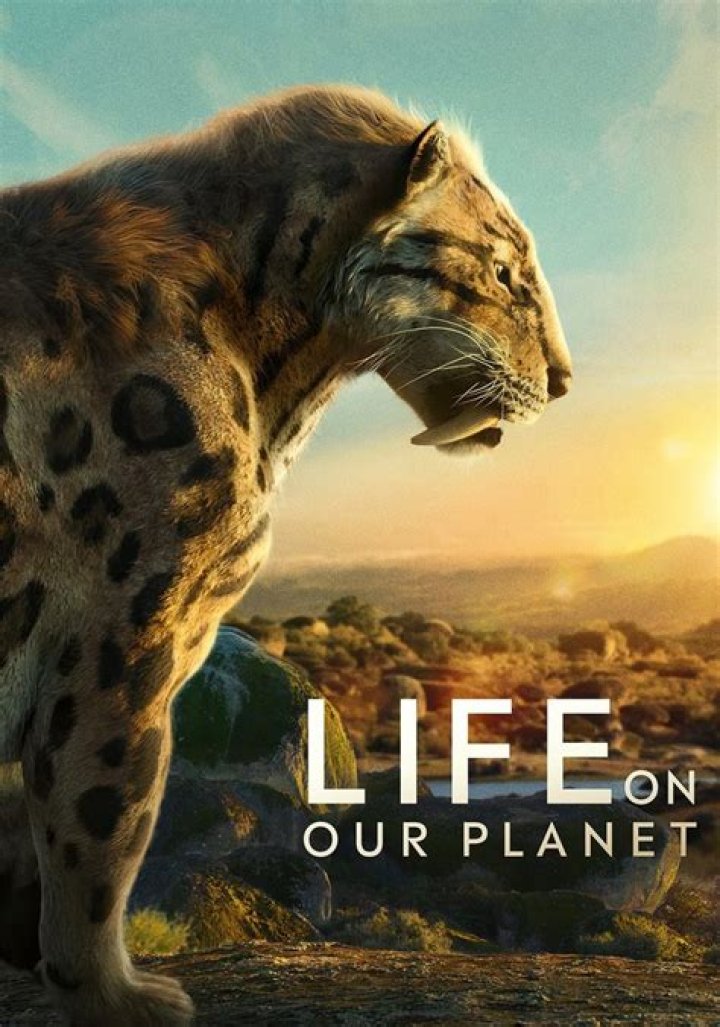 تردد قناة كوكب الحيوانات Animal Planet 2023 – تريندات 2024