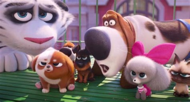 Animation Domination From The Secret Life of Pets