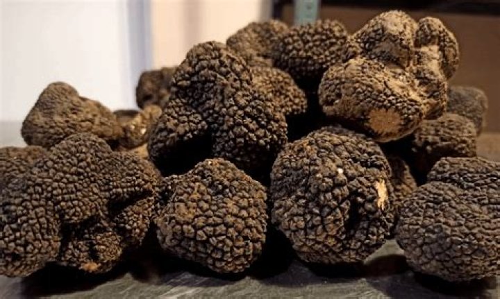Are morels like truffles?