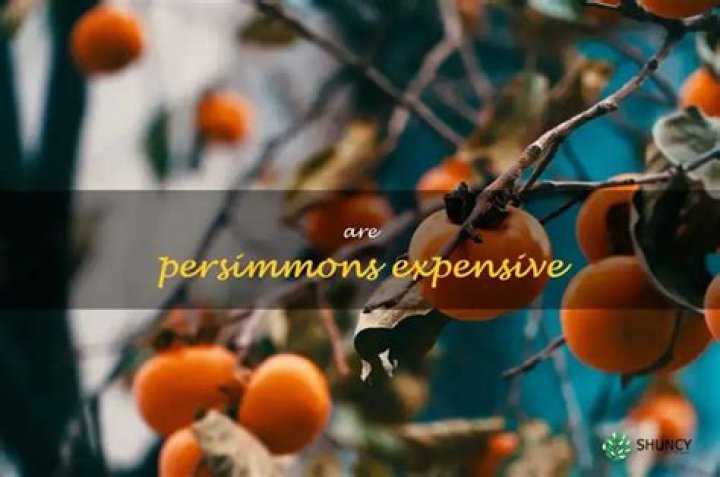 Are persimmons expensive?