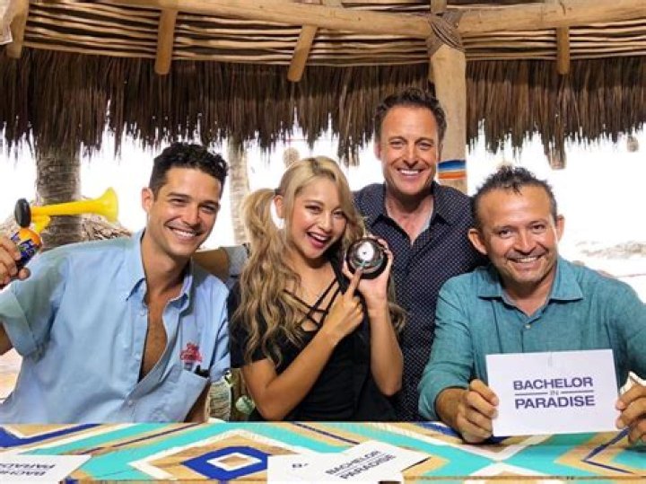 Bachelor in Paradise spoilers: Are Teddi and Andrew together?