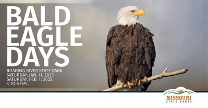 Bald Eagle Days soars back into Expo Center in Rock Island next weekend
