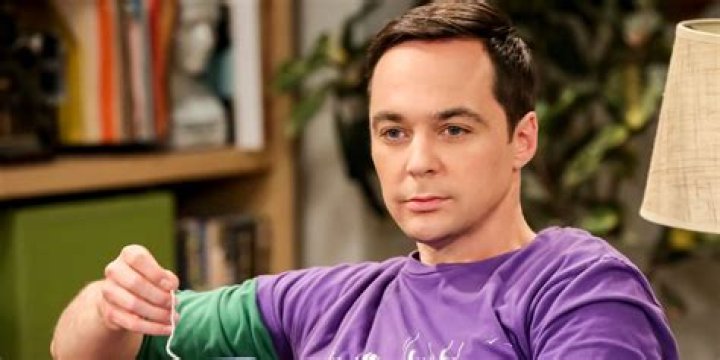 Bazinga! New species of bee named after The Big Bang Theory's Sheldon Cooper