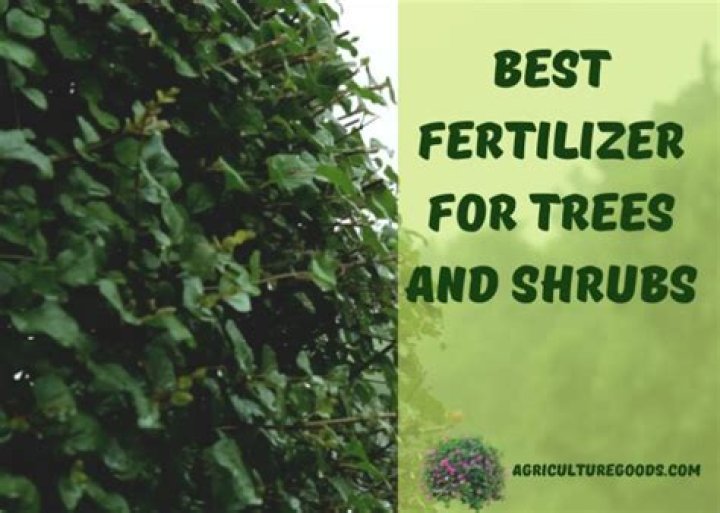 Best fertilizer for trees and shrubs