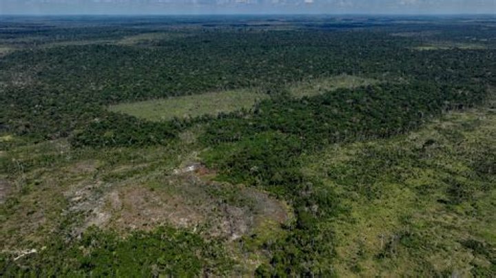 Bid by meatpacker JBS to join New York Stock Exchange faces opposition over Amazon deforestation
