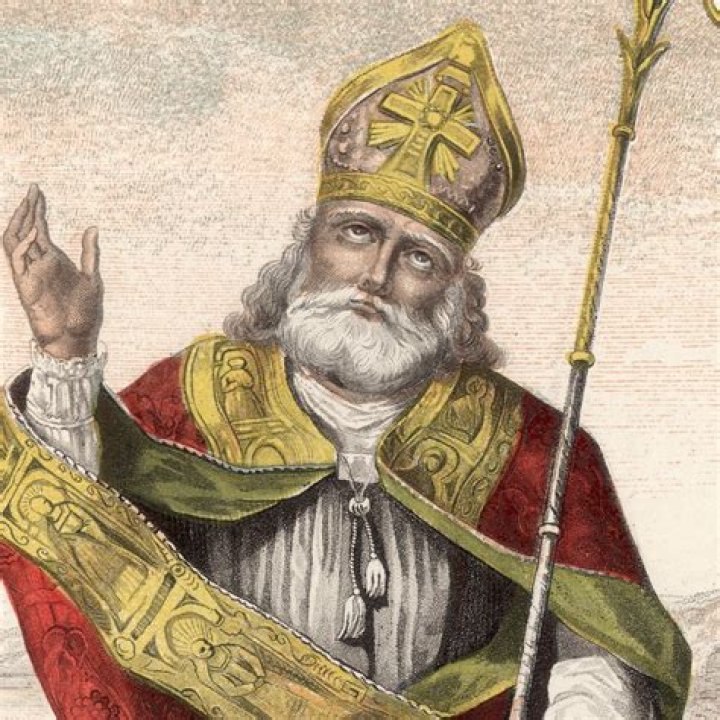 Biography, Missionary, Patron Saint of Ireland