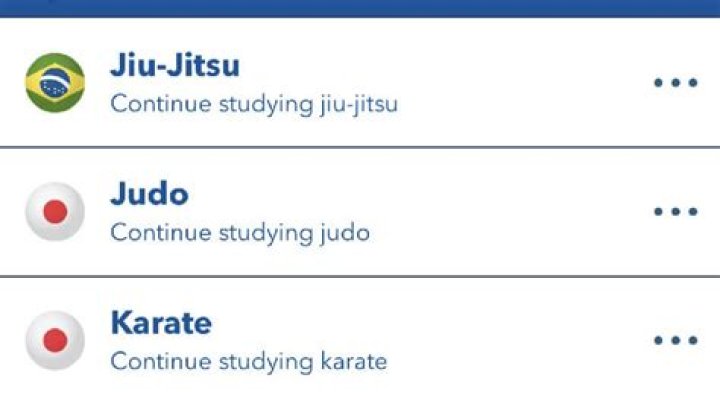 BitLife: How to Master Judo and Karate