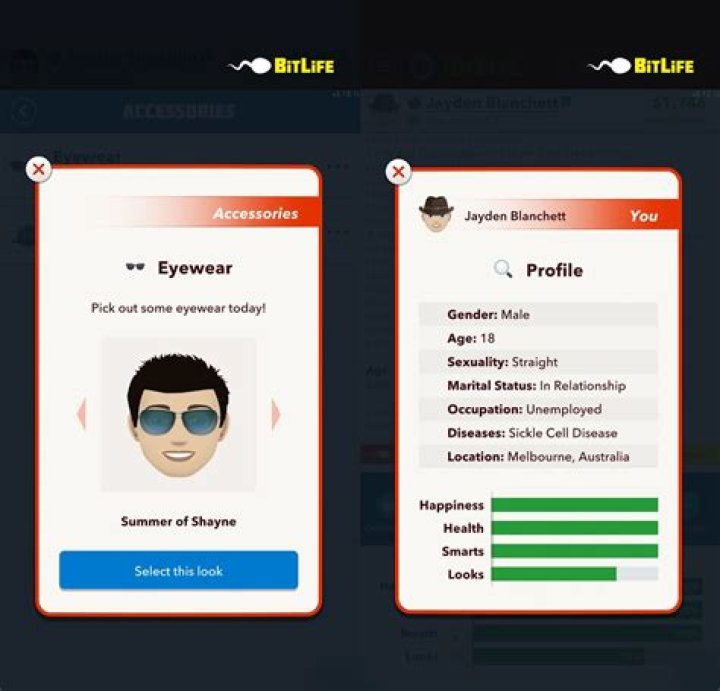BitLife: How to Own a Haunted Property