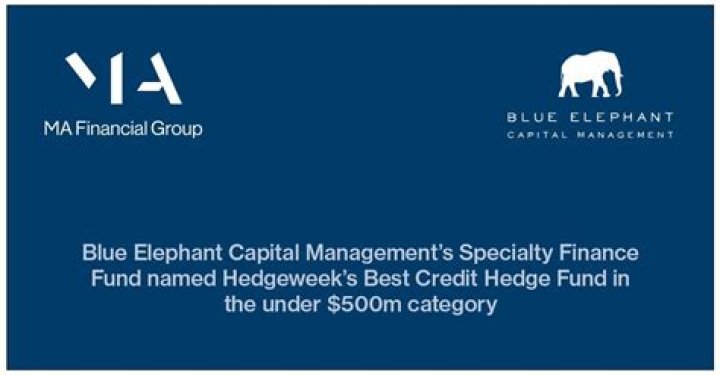 
Blue Elephant Capital Management, LLC (Irvington)
