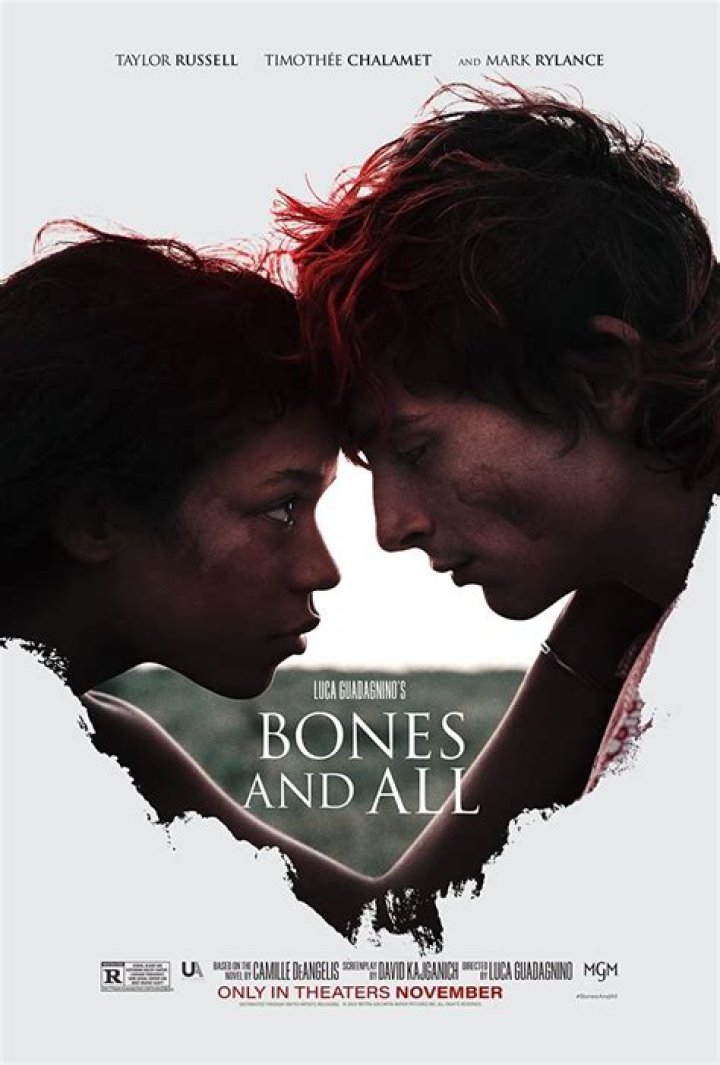 Bones And All Book Ending Explained: Maren And Lee’s Fate
