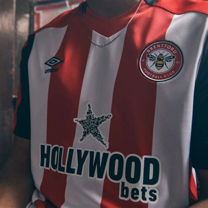 Brentford's new badge angers fans who claim traditional bee looks more like a wasp
