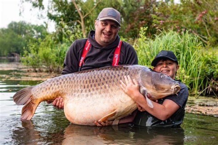 British angler catches world’s biggest carp weighing 232lbs in Thailand – The Sun