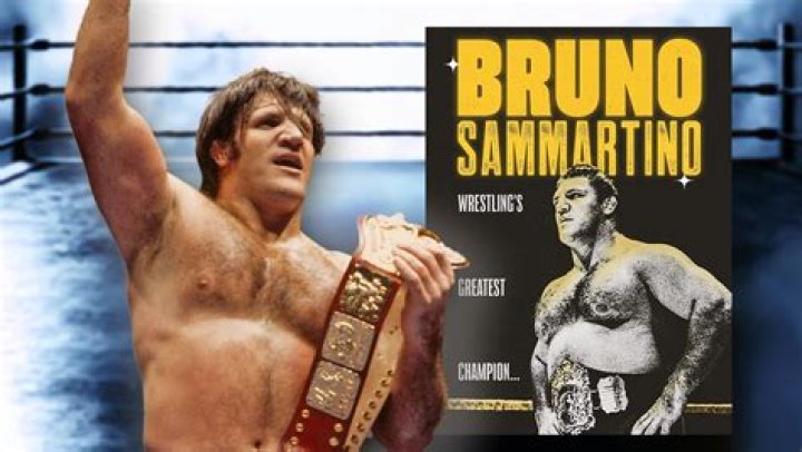 Bruno Sammartino Net Worth 2024