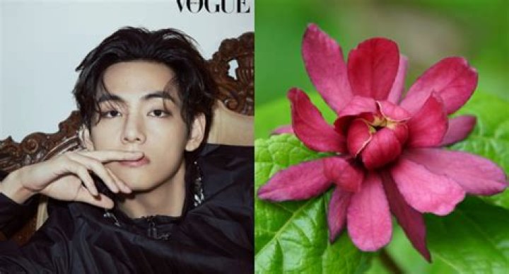 BTS' birth flowers and significance: From Jungkook's Tiger Lily to V's Carolina Allspice