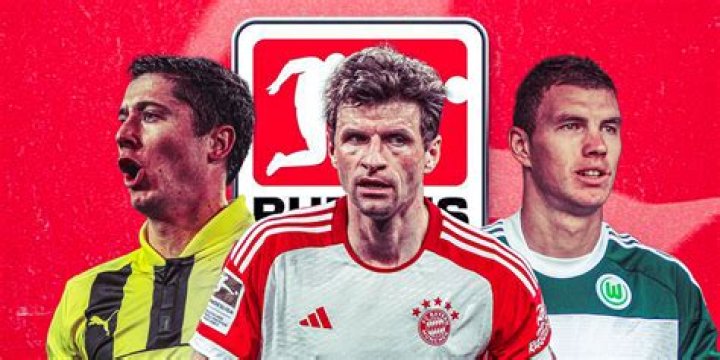 Bundesliga - Players from foreign clubs: Details 23/24