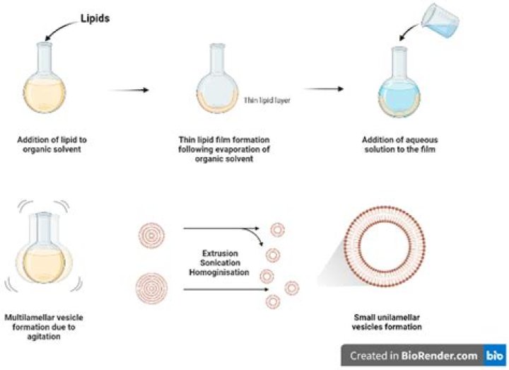 Camilia Leak: Understanding The Phenomenon And Its Impact