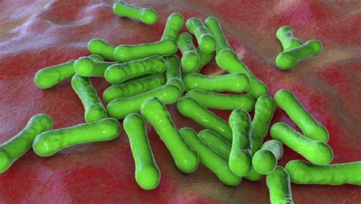 Case of highly-contagious and deadly disease diphtheria confirmed at UK primary school with parents given urgent warning