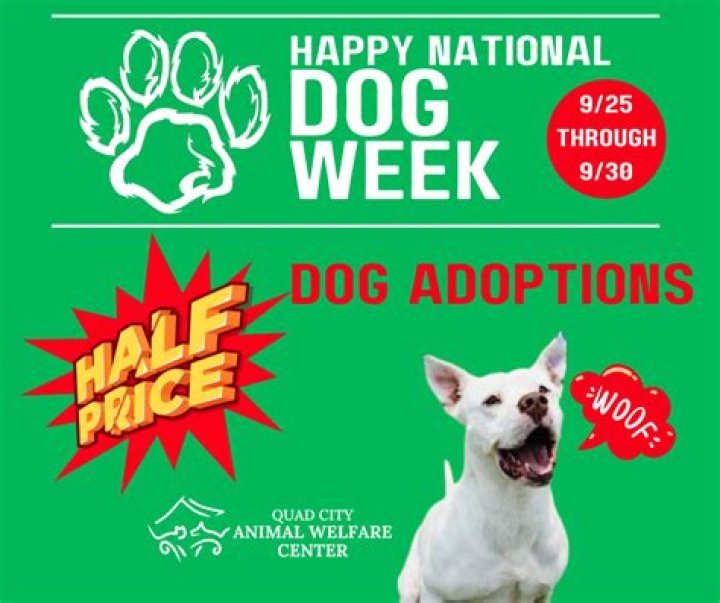 Celebrate pets all week with Quad Cities Animal Welfare Center events