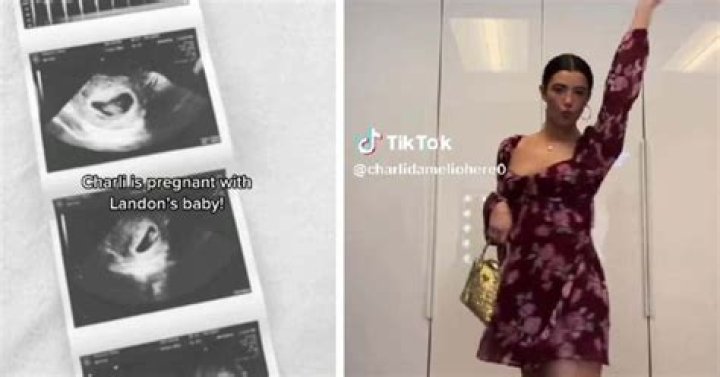 Charli D'Amelio Pregnant 2024: A Comprehensive Look At The Rumors And Reality