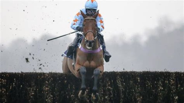 Cheltenham Festival 2018: Un De Sceaux heads the entries for the Ryanair Chase as 14 horses remain in contention