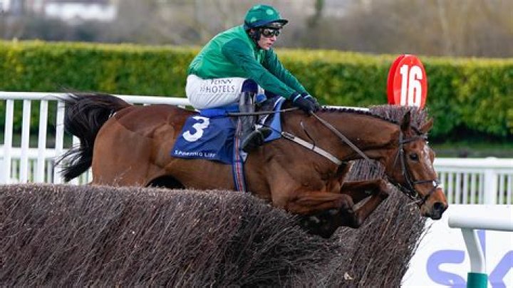 Cheltenham Festival 2022: Turners' Novices' Chase entries, odds, trends and free bets