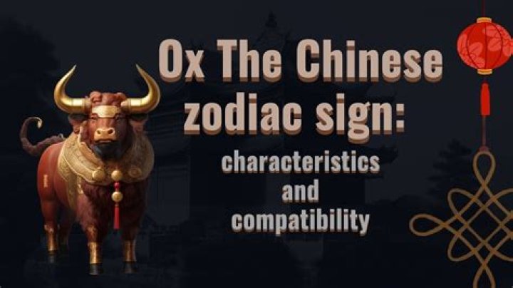 Chinese Astrology: Who is the most compatible in love with the Ox sign?