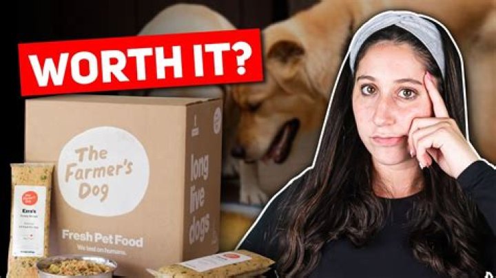 Corgi Boone (TikToker and YouTuber Mommy Farmer’s Dog) Shot